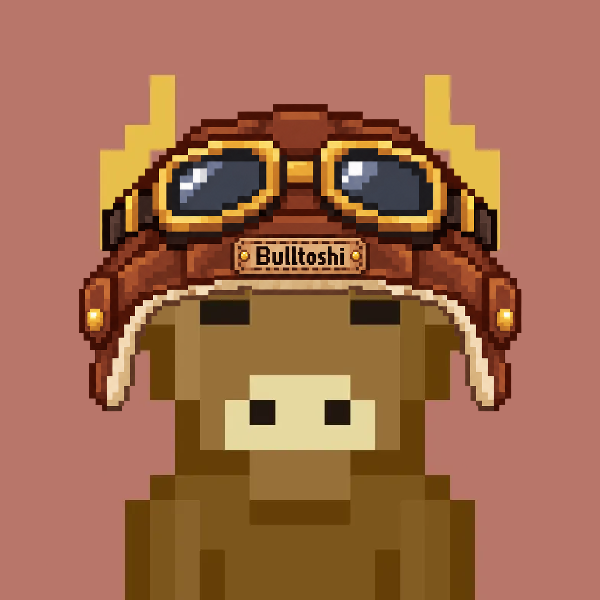 Bulltoshi wearing the Aviator Helmet
